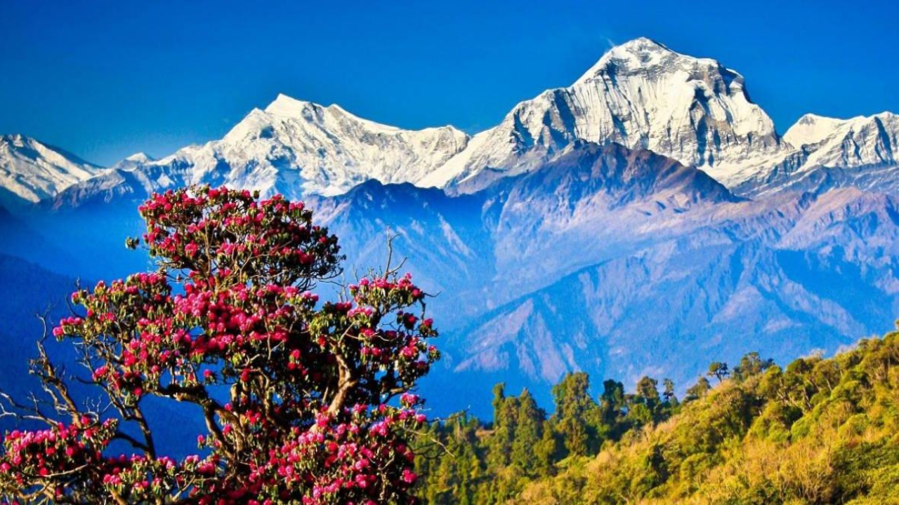 Car Rental from Dehradun to Delhi